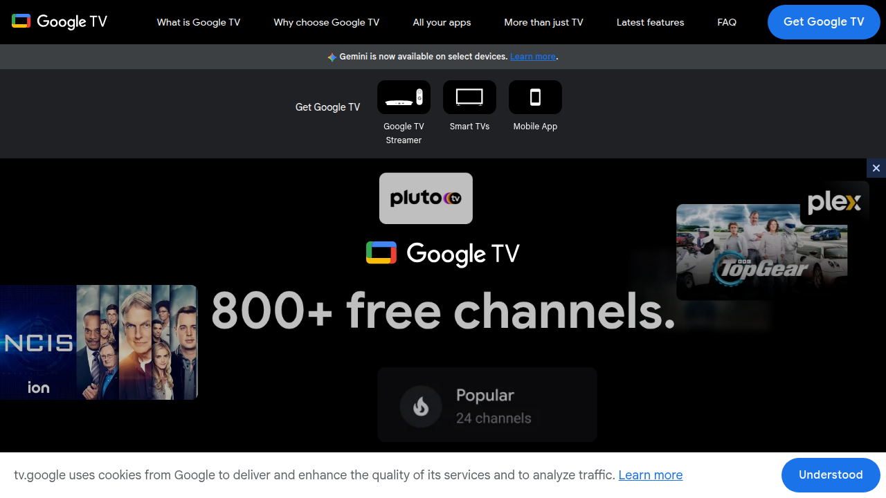 Google TV offers integrated search and filtering capabilities across multiple streaming services.